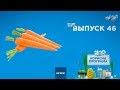 Как выбрать свежую морковь | ПОЛЕЗНАЯ ПРОГРАММА. Выпуск 46 — 20.11.2019