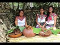 ¿Porque el Norte y el Sur de Mexico son totalmente diferentes?