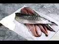Uskumru Fileto Çıkarma İstanbul İşi Balık ekmek Nasıl Yapılır