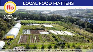 Secure the Future of Loveland Community Field - Crowdfunder 2026
