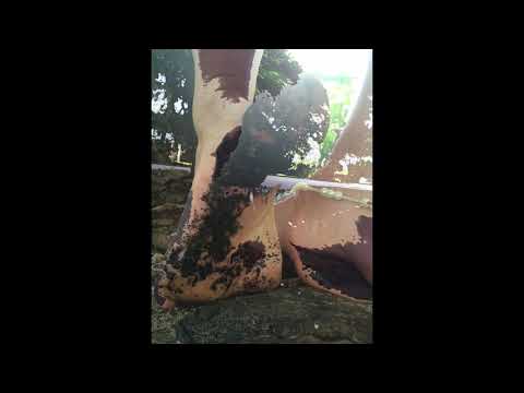 Playing in the mud with my bare Feet