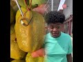 DO YOU WANT MY BEANIE BOO #msbeanie #tiktokuni #fypシ゚viral #pov #foryoupage #fypツ