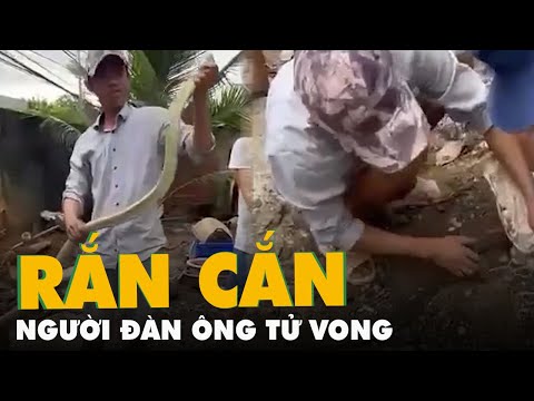 Video Giúp hàng xóm bắt rắn 3kg bò vào nhà ăn gà, người đàn... - youtube