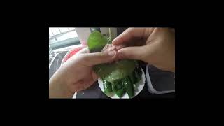 ASMR POV | Cooking Vietnamese Beef & Pork Wrapped In Betel Leaves | Real Guy Home