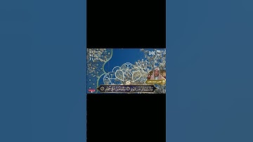 تلاوة هادئة🌼(من سورة القلم) بصوت القارئ محمد كرم | #holy_quran512 #القارئ_محمد_كرم