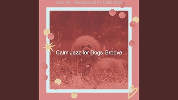 Pulsating Backdrops for Relaxing Doggies