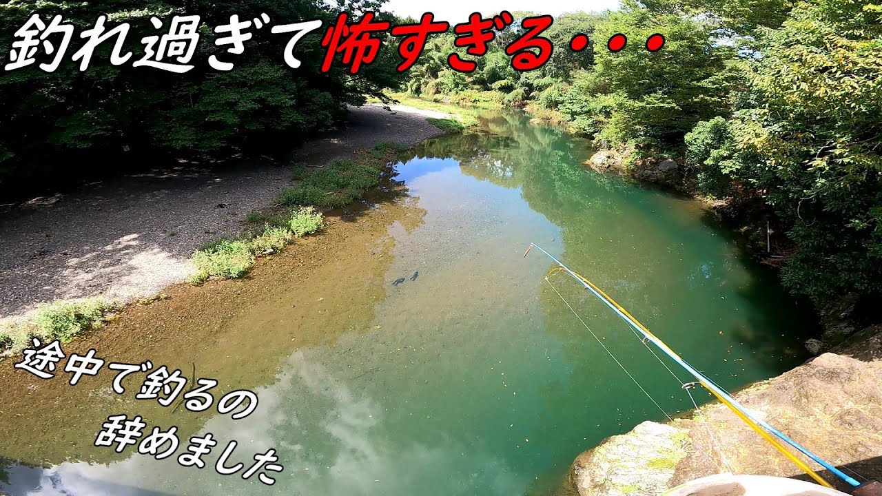 釣れ過ぎてヤバいので途中で釣るの辞めました