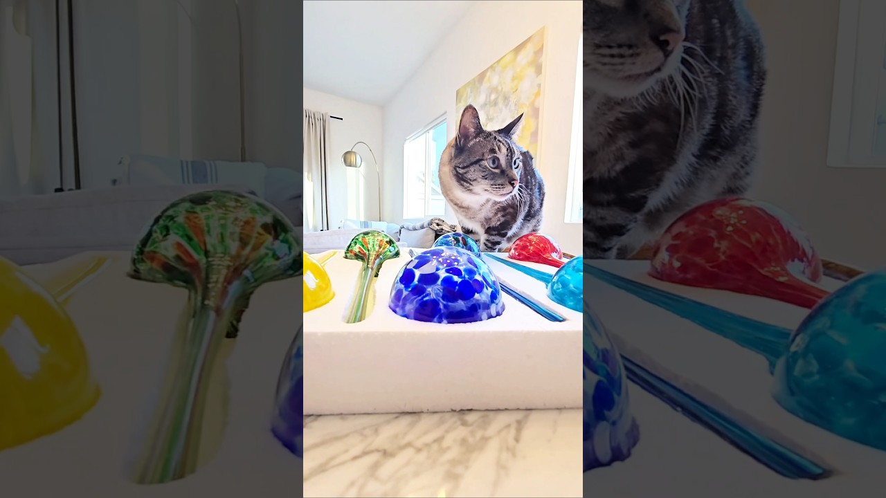 Glass art plant watering globes (2 weeks hands free irrigation)