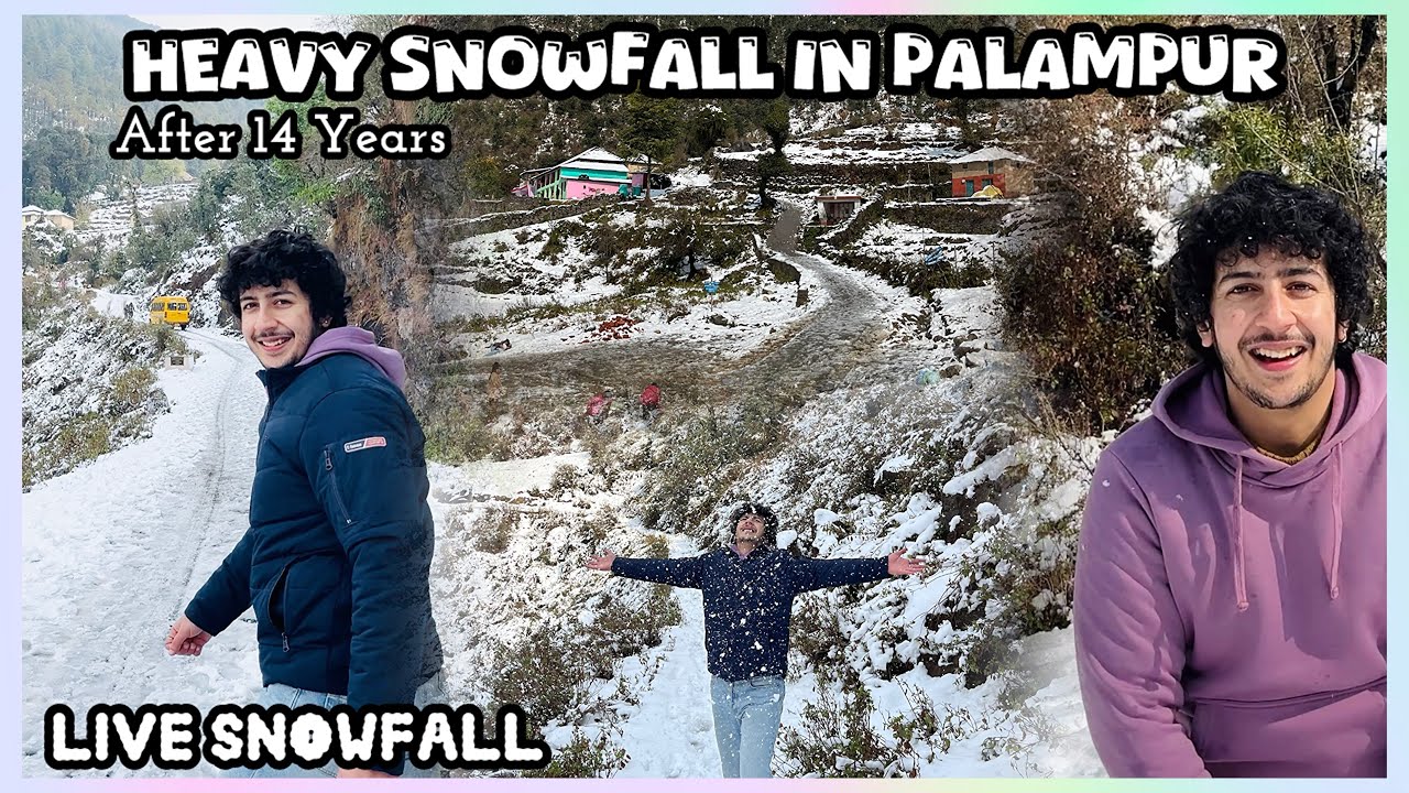 Came Home from Mumbai: Palampur Gave me Surprise♥️ Heavy Snowfall In Palampur Himachal Pradesh