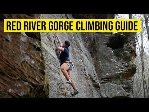 Video: Red River Gorge, Kentucky: Den komplette guide