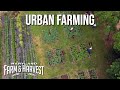 Urban Farming to Build Community