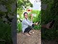 lichi 😘♥️🥰💞 gaon ke hi hai .. #duet #love #song #funny #catchy #singingmelody #popularsong #duet