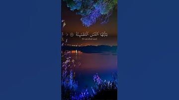 تلاوة خاشعة بصوت القارئ علي نمير #القرآن_الكريم #المصحف