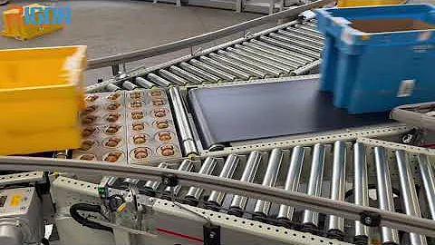 Wheel sorter for box conveyor system #conveyorsystems #conveyorsolutions #conveyors #rigorconveyor