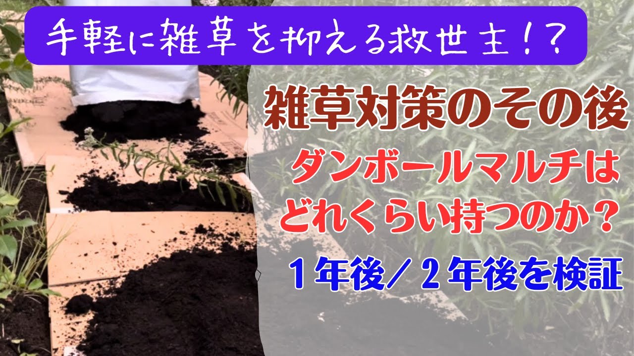 《雑草対策のその後／ダンボールマルチ編》効果を長持ちさせるコツ＆メンテナンス／愛用草取り道具③つ
