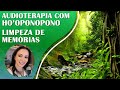 AUDIOTERAPIA, SONS DA NATUREZA COM HO&#39;OPONOPONO! LIMPEZA DE MEMÓRIAS DORMINDO, COM SOLFEGGIO 432HZ.