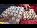 Land of 10,000 Stories: 90-year-old selling his collection of 70,000 golf balls