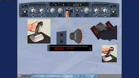 A330 AUTOFLIGHT - FLIGHT DIRECTOR