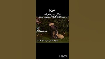 فالدال على الخير كفاعله ❤️ القران الكريم ❤️