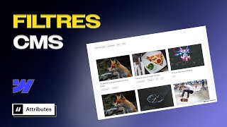Filtre CMS Webflow | Finsweet attributes | 2024