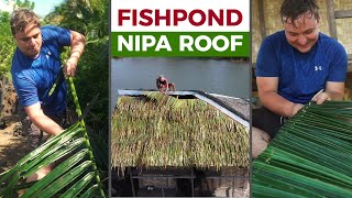 FISHPOND NIPA HARVEST - My Filipino Home Gets New Roof (Cateel, Davao)