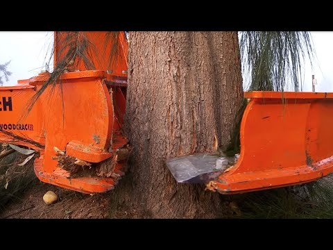 Видео: Невероятные Лесозаготовительные Технологии