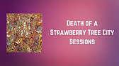 Dance Gavin Dance Death Of A Strawberry Tree City Sessions Lyrics Youtube