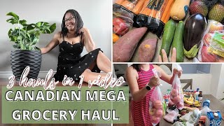 CANADIAN MEGA GROCERY HAUL | GROCERY HAUL COMPILATION