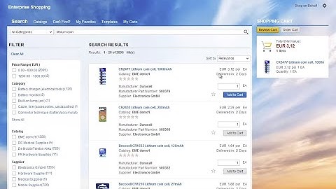 SAP SRM UI5 by BeNeering