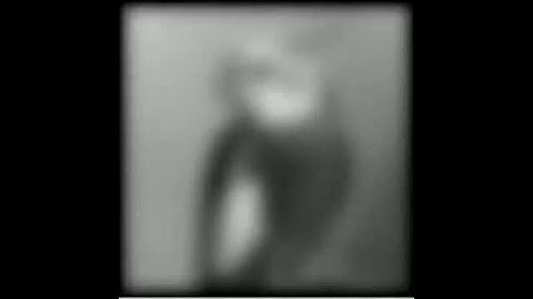 Heat equation on bird