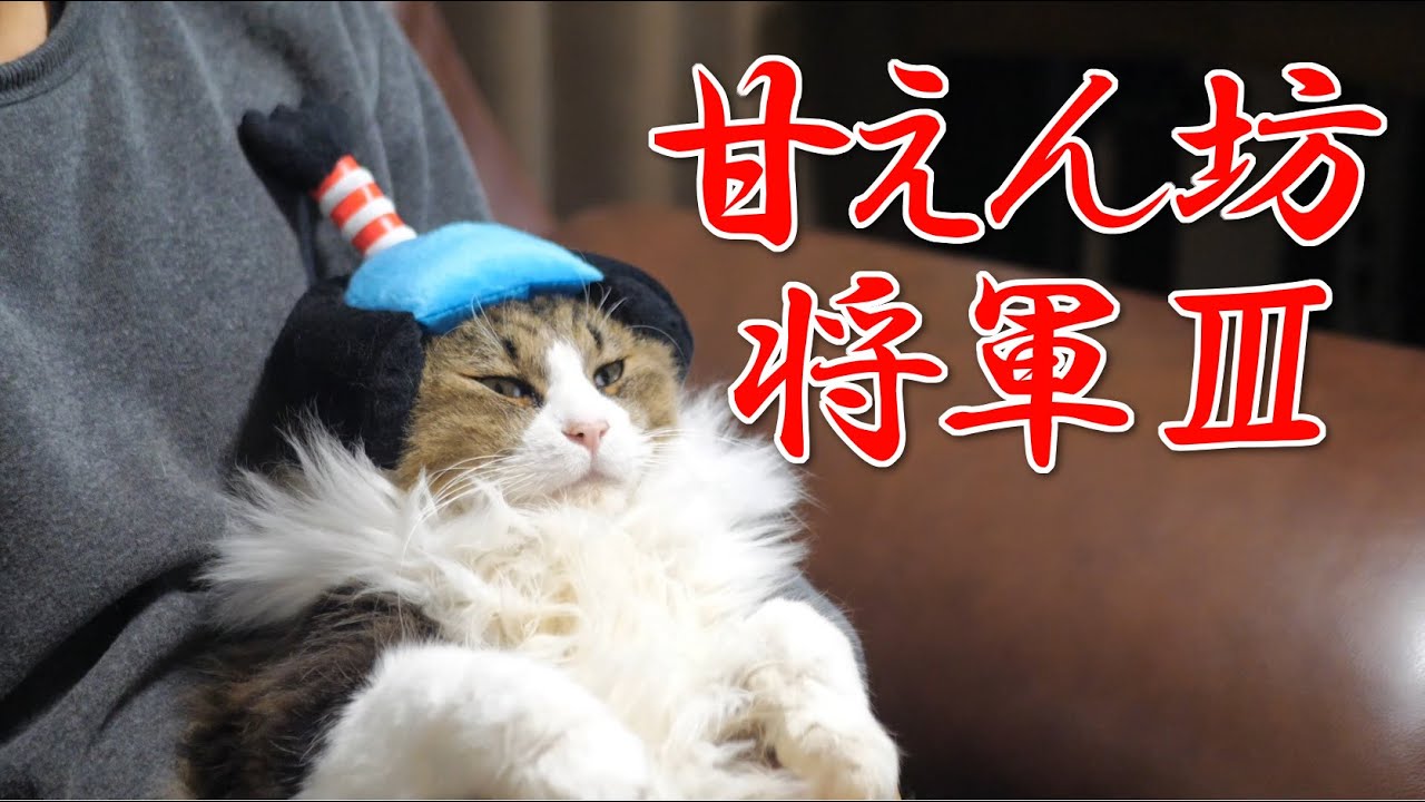 ちねこ The spoiled shogun Ⅲ - YouTube
