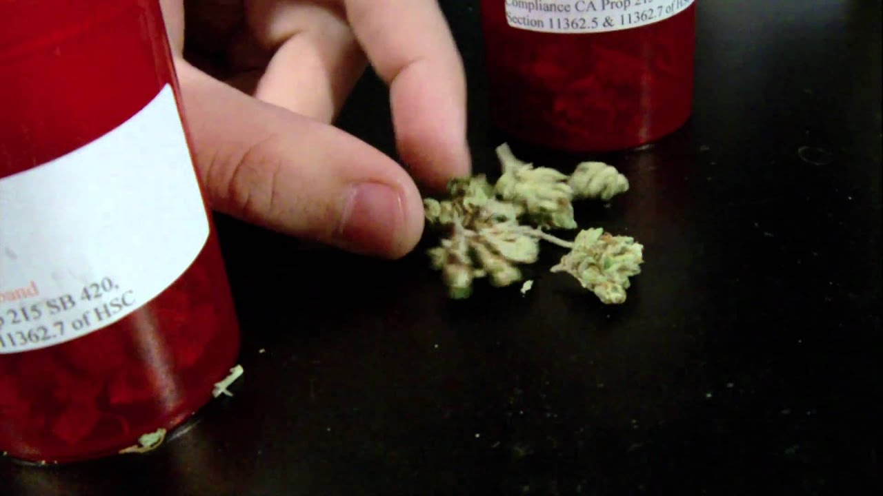 Platinum OG + Platinum Sourband Review