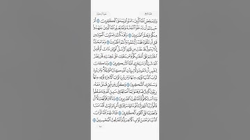 الجزء الرابع من القرآن الكريم - بصوت الشيخ ماهر المعيقلي