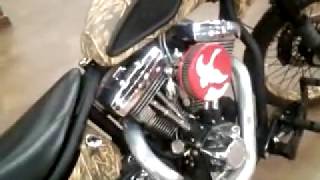 gandermat OCC bikes (Orange County Choppers)