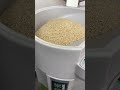 Maquina de Descascar Arroz Japão#Shorts