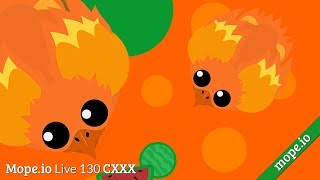 New Phoenix Animal | Mope.io Live 130 CXXX | [TB] Teddy Bear
