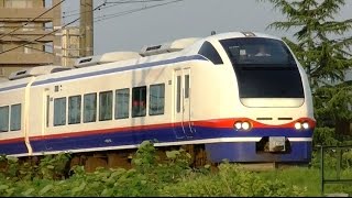特急しらゆき８号E653系新ﾆｲH202編成　信越本線　新潟→上越妙高