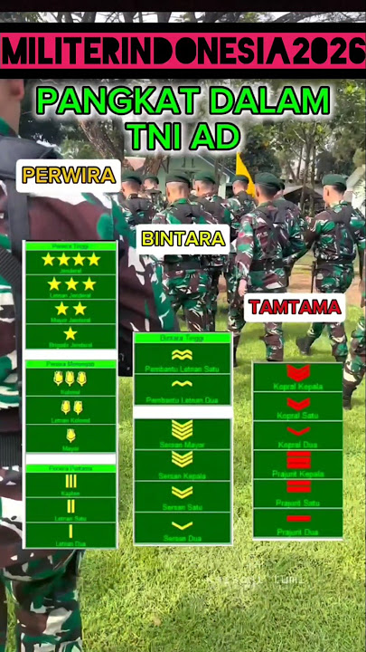 Urutan Pangkat dalam TNI AD mulai golongan Tamtama, Bintara dan Perwira 🇲🇨