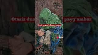 Iso Alayhisalom Haqida