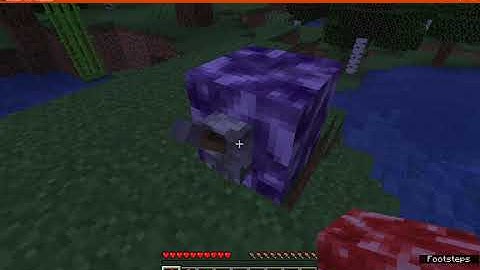 Bacterium 1.13.2, 1.14.4, 1.15.2 & 1.16.3 Forge Mod Overview