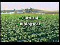 IPM in Agriculture