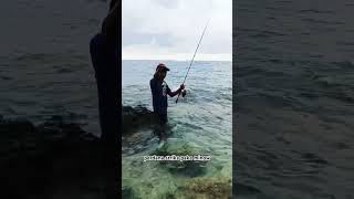 strike krapu, pulau payung