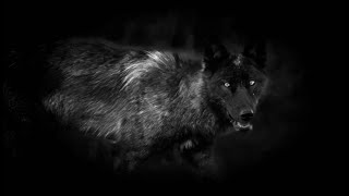 MYSTERIUM TREMENDUM et FASCINOSUM