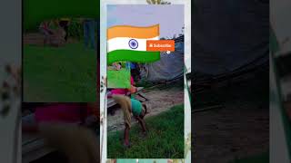 indian army desh bhakti/ #youtubeshorts #video #trending #viralvideo/desh bhakti #viral