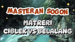 Terapi burung sogon dan masteran sogon materi ciblek kristal sambung belalang