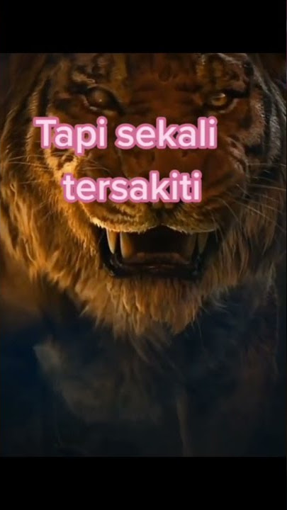 STORY WA WETON KEREN!!!