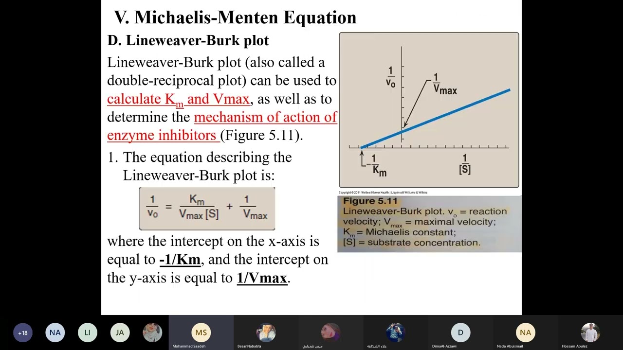 Biochemistry 1 – Lecture 13  Enzyme & Competitive Inhibition