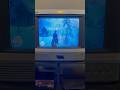 Red Dead Redemption 2 on a Tiny CRT #playstation #ps5 #gaming #gamingshorts #rdr2 #crt