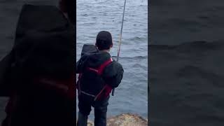 【五島列島】嵯峨ノ島