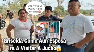 That Woman Sets Foot There, Let Jucho Forget About Me Rosa Got Angry, This Will Happen If Gris ...